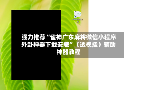强力推荐“雀神广东麻将微信小程序外卦神器下载安装”（透视挂）辅助神器教程-第2张图片