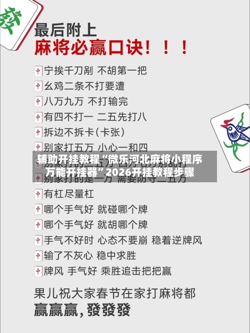 辅助开挂教程“微乐河北麻将小程序万能开挂器	”2026开挂教程步骤-第2张图片
