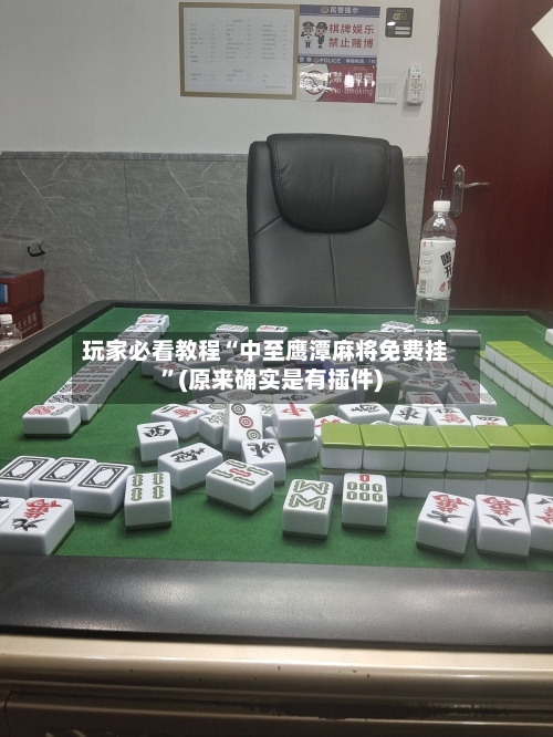 玩家必看教程“中至鹰潭麻将免费挂	”(原来确实是有插件)-第2张图片