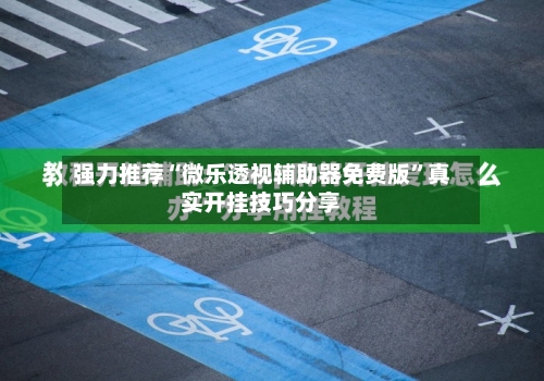 强力推荐“微乐透视辅助器免费版	”真实开挂技巧分享-第2张图片