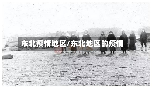 东北疫情地区/东北地区的疫情-第3张图片