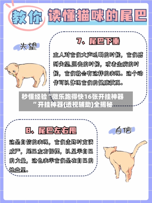 秒懂经验“微乐跑得快16张开挂神器	”开挂神器{透视辅助}全揭秘-第2张图片