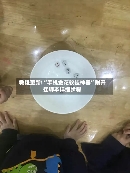 教程更新!“手机金花软挂神器	”附开挂脚本详细步骤-第2张图片