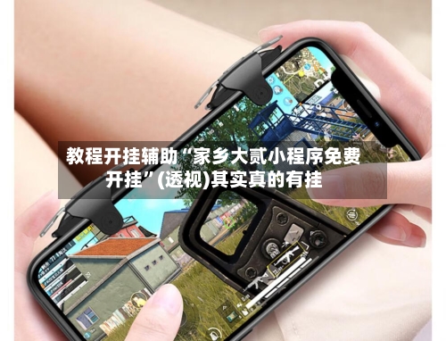 教程开挂辅助“家乡大贰小程序免费开挂”(透视)其实真的有挂