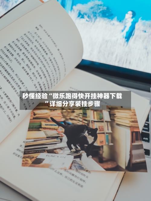 秒懂经验“微乐跑得快开挂神器下载”详细分享装挂步骤-第2张图片