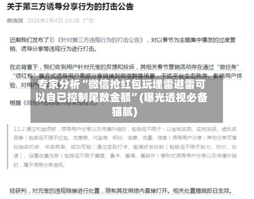 专家分析“微信抢红包玩埋雷避雷可以自已控制尾数金额	”(曝光透视必备猫腻)-第2张图片