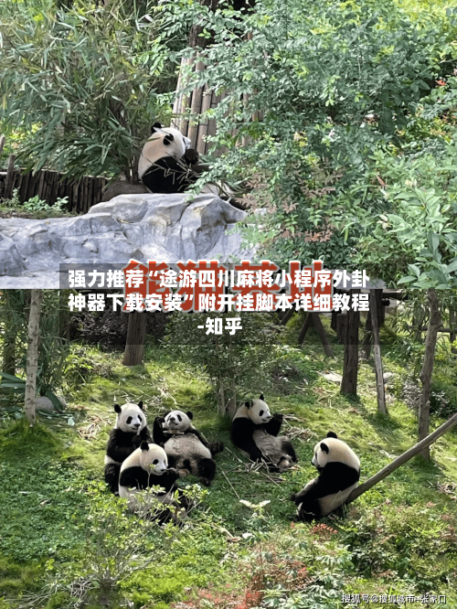 强力推荐“途游四川麻将小程序外卦神器下载安装”附开挂脚本详细教程-知乎-第3张图片