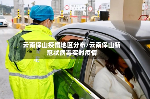 云南保山疫情地区分布/云南保山新冠状病毒实时疫情
