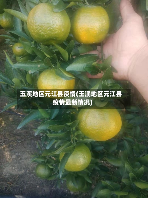 玉溪地区元江县疫情(玉溪地区元江县疫情最新情况)