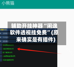 辅助开挂神器“闲逸软件透视挂免费”(原来确实是有插件)-第3张图片