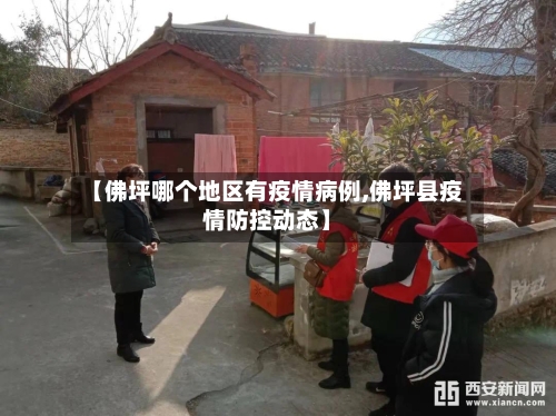 【佛坪哪个地区有疫情病例,佛坪县疫情防控动态】-第2张图片