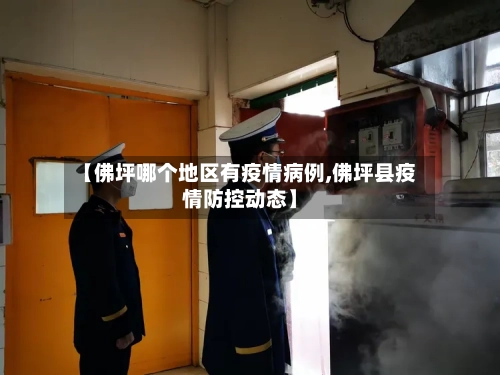【佛坪哪个地区有疫情病例,佛坪县疫情防控动态】-第3张图片