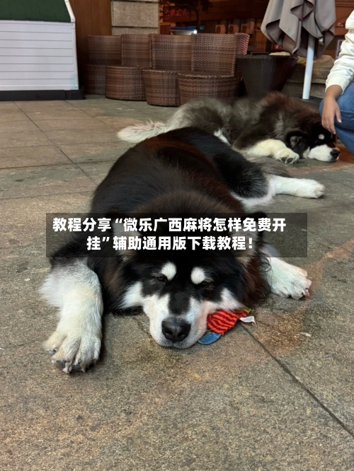 教程分享“微乐广西麻将怎样免费开挂”辅助通用版下载教程！-第2张图片
