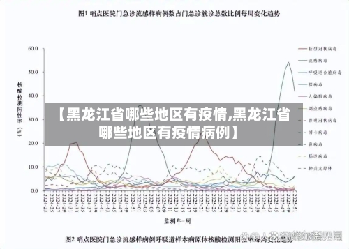 【黑龙江省哪些地区有疫情,黑龙江省哪些地区有疫情病例】-第2张图片