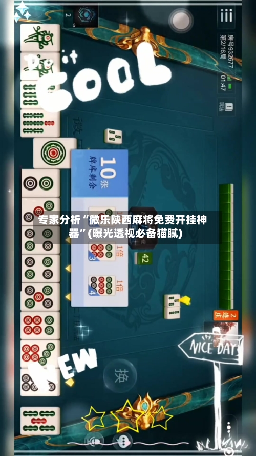 专家分析“微乐陕西麻将免费开挂神器”(曝光透视必备猫腻)-第2张图片