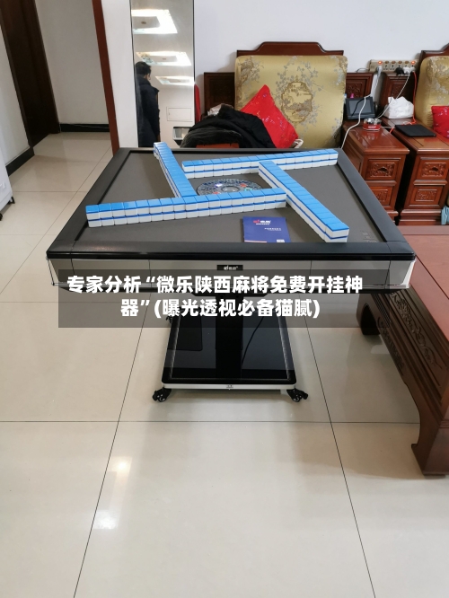 专家分析“微乐陕西麻将免费开挂神器”(曝光透视必备猫腻)-第3张图片
