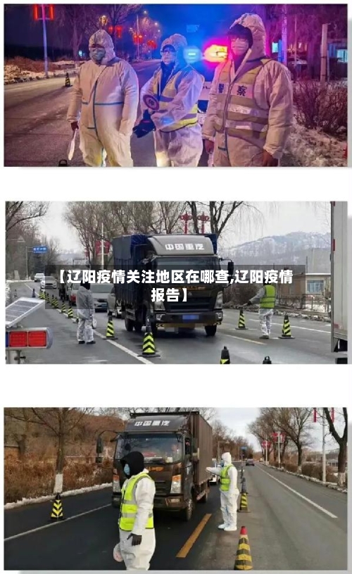 【辽阳疫情关注地区在哪查,辽阳疫情报告】