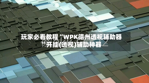 玩家必看教程“WPK德州透视辅助器”开挂(透视)辅助神器-第3张图片