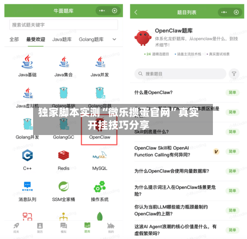 独家脚本实测“微乐掼蛋官网”真实开挂技巧分享-第3张图片
