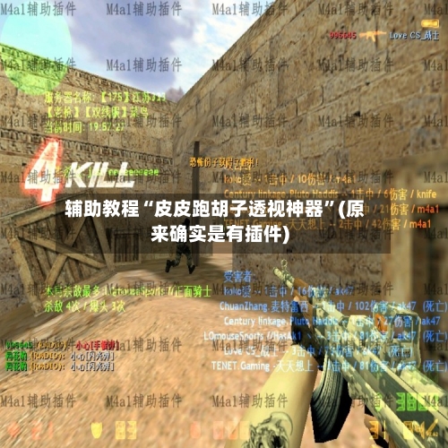 辅助教程“皮皮跑胡子透视神器	”(原来确实是有插件)-第2张图片