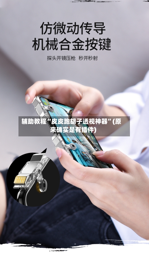 辅助教程“皮皮跑胡子透视神器”(原来确实是有插件)-第3张图片