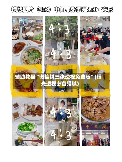 辅助教程“微信拼三张透视免费版”(曝光透视必备猫腻)-第2张图片