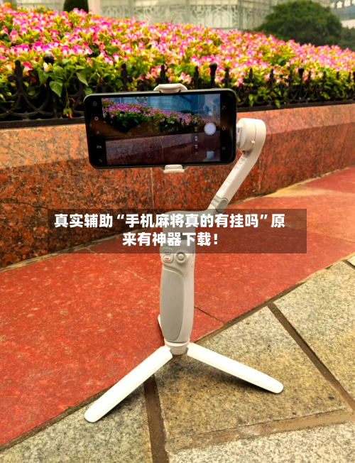 真实辅助“手机麻将真的有挂吗	”原来有神器下载！-第2张图片