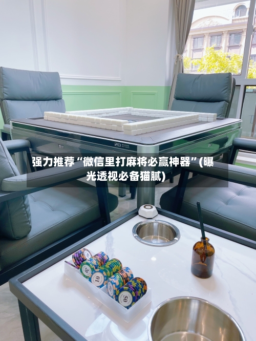 强力推荐“微信里打麻将必赢神器”(曝光透视必备猫腻)-第2张图片