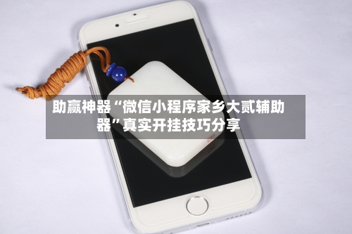 助赢神器“微信小程序家乡大贰辅助器”真实开挂技巧分享-第2张图片