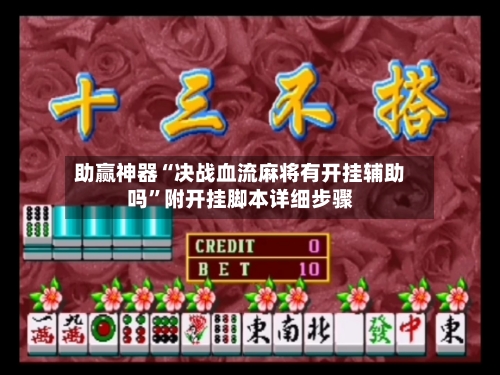 助赢神器“决战血流麻将有开挂辅助吗”附开挂脚本详细步骤