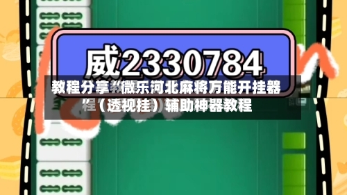 教程分享“微乐河北麻将万能开挂器”（透视挂）辅助神器教程-第2张图片