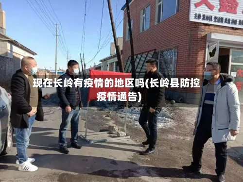 现在长岭有疫情的地区吗(长岭县防控疫情通告)-第2张图片