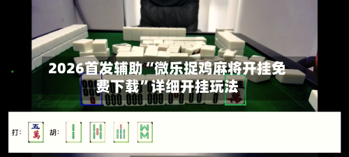 2026首发辅助“微乐捉鸡麻将开挂免费下载”详细开挂玩法-第2张图片