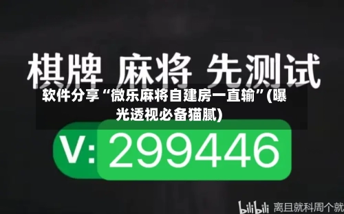 软件分享“微乐麻将自建房一直输	”(曝光透视必备猫腻)-第3张图片