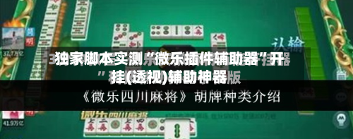 独家脚本实测“微乐插件辅助器	”开挂(透视)辅助神器-第2张图片