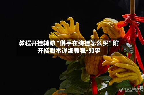 教程开挂辅助“佛手在线挂怎么买”附开挂脚本详细教程-知乎-第2张图片