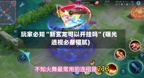 玩家必知“新玄龙可以开挂吗”(曝光透视必备猫腻)