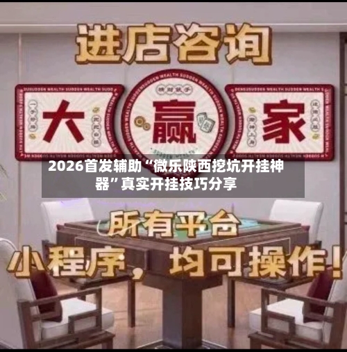 2026首发辅助“微乐陕西挖坑开挂神器”真实开挂技巧分享-第2张图片