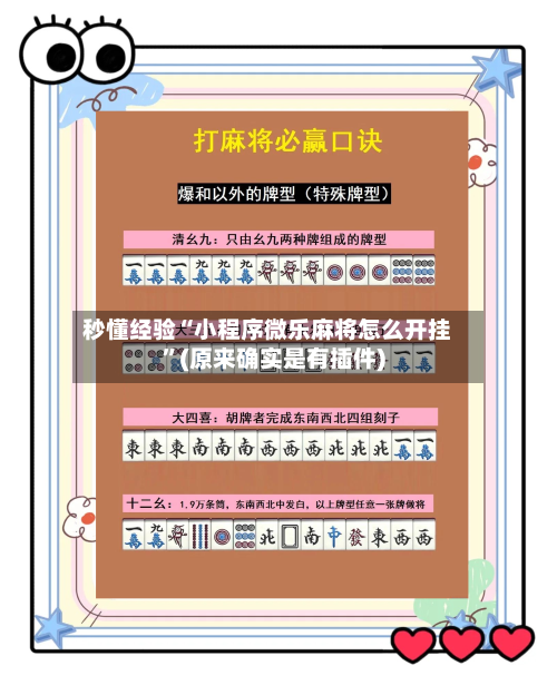 秒懂经验“小程序微乐麻将怎么开挂”(原来确实是有插件)-第3张图片