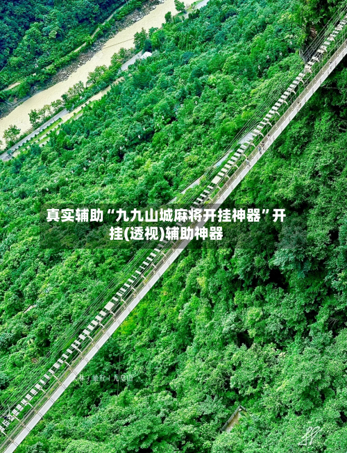 真实辅助“九九山城麻将开挂神器”开挂(透视)辅助神器-第3张图片