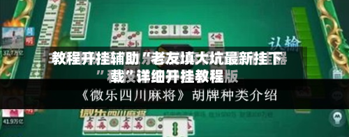 教程开挂辅助“老友填大坑最新挂下载”详细开挂教程-第2张图片