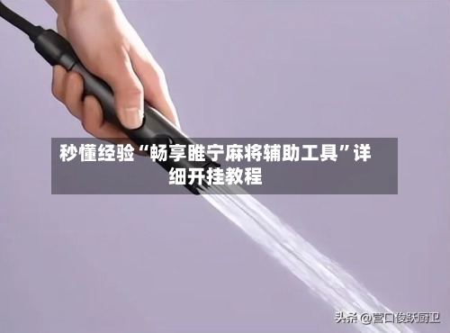 秒懂经验“畅享睢宁麻将辅助工具”详细开挂教程-第2张图片