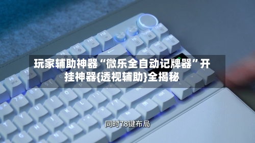 玩家辅助神器“微乐全自动记牌器”开挂神器{透视辅助}全揭秘-第3张图片