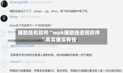 辅助挂机软件“wpk辅助挂透视软件	”其实确实有挂-第2张图片