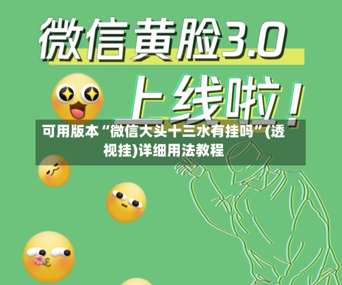 可用版本“微信大头十三水有挂吗”(透视挂)详细用法教程-第2张图片