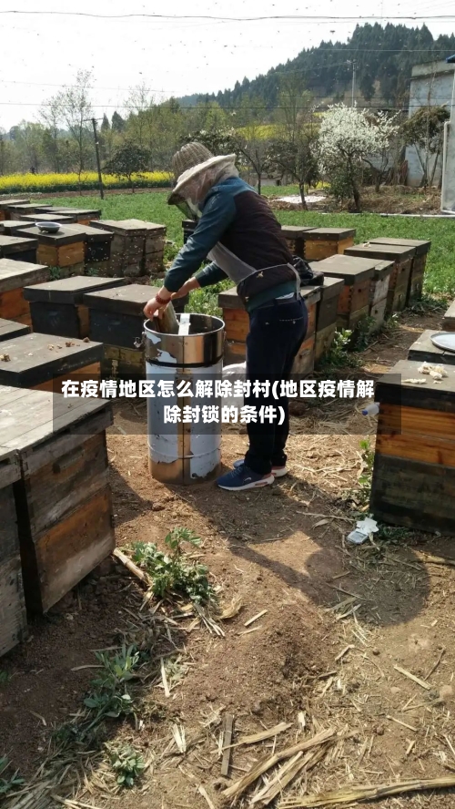 在疫情地区怎么解除封村(地区疫情解除封锁的条件)-第3张图片