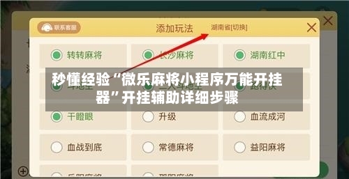 秒懂经验“微乐麻将小程序万能开挂器”开挂辅助详细步骤-第3张图片