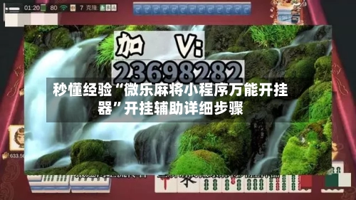 秒懂经验“微乐麻将小程序万能开挂器”开挂辅助详细步骤-第2张图片