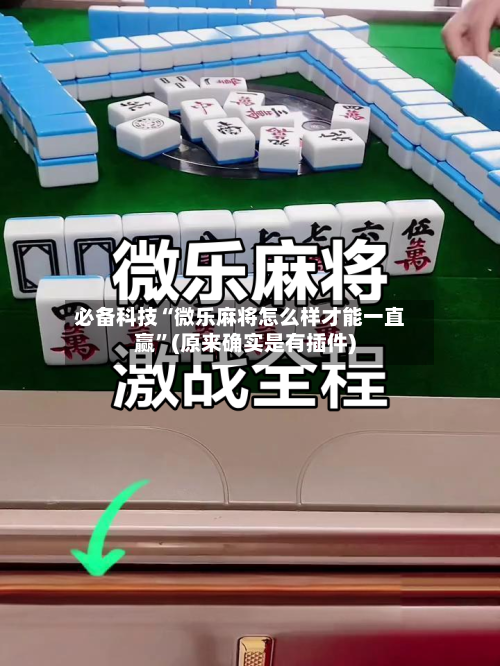 必备科技“微乐麻将怎么样才能一直赢”(原来确实是有插件)-第2张图片