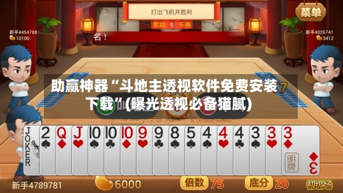 助赢神器“斗地主透视软件免费安装下载”(曝光透视必备猫腻)-第2张图片